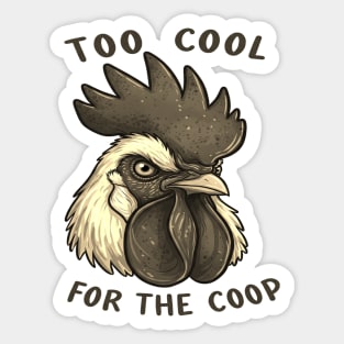 Too cool for the coop Sticker